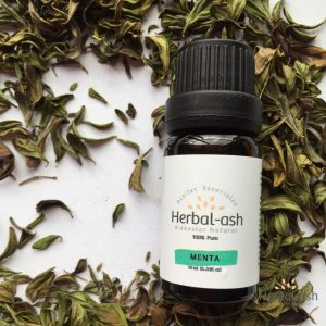 Aceite Esencial Menta